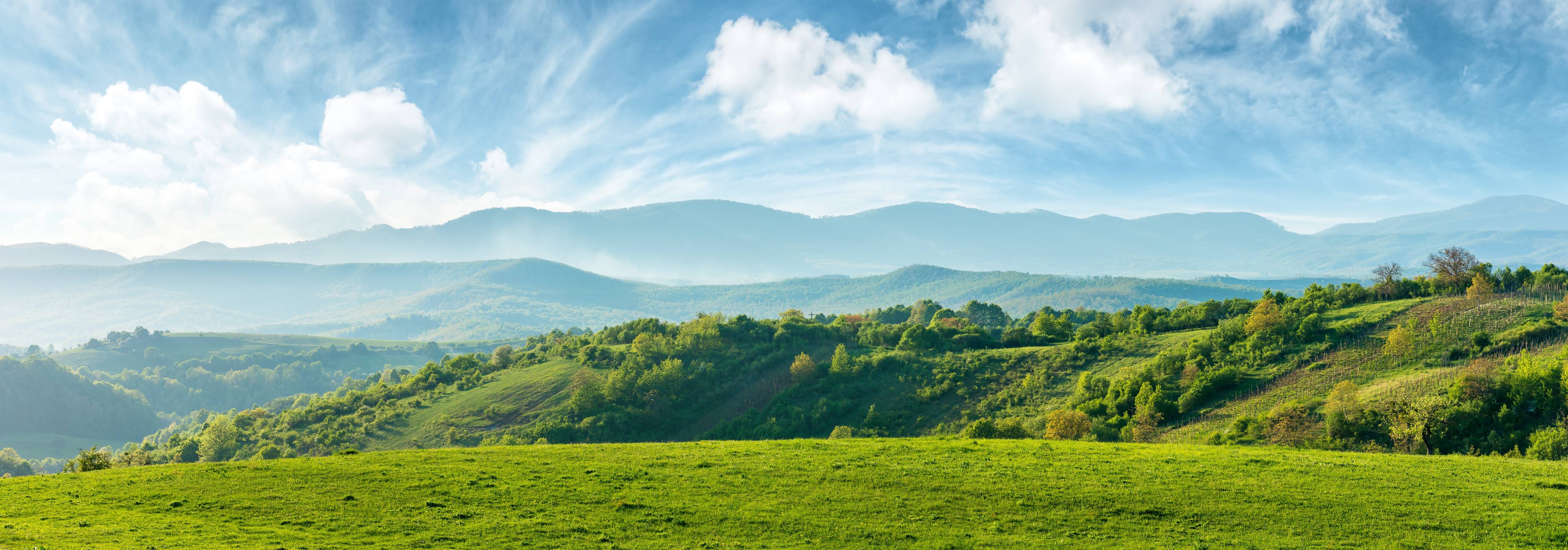 Paysage représentant la biodiversité