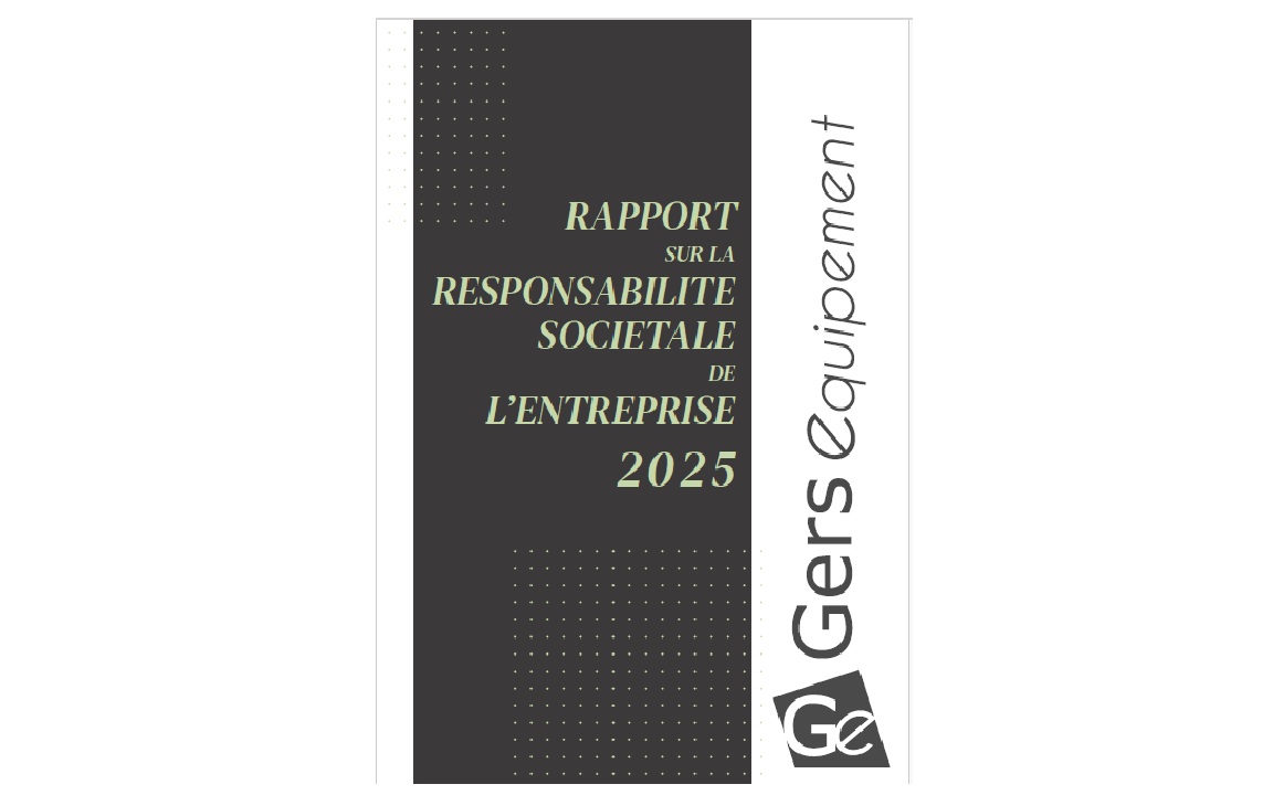 rapport RSE