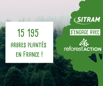 Reforestaction