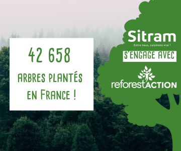 Reforestaction